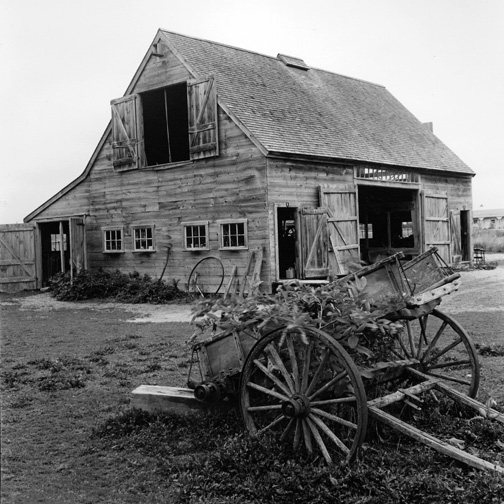 black and white photography