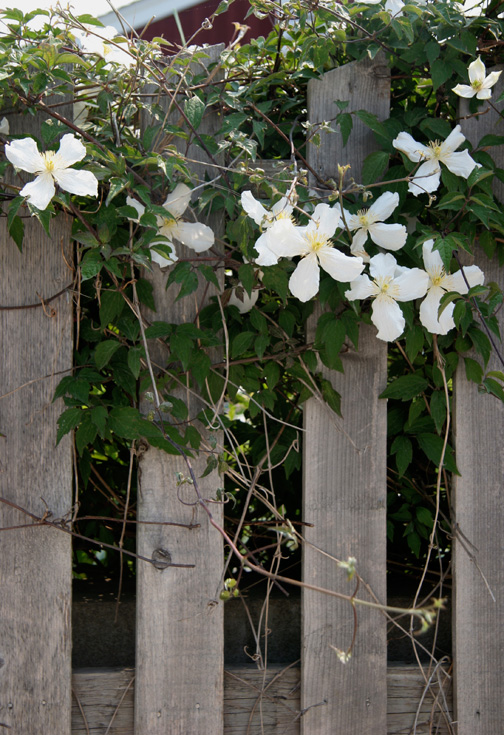fineart photography