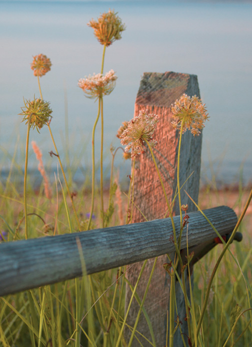 fineart photography