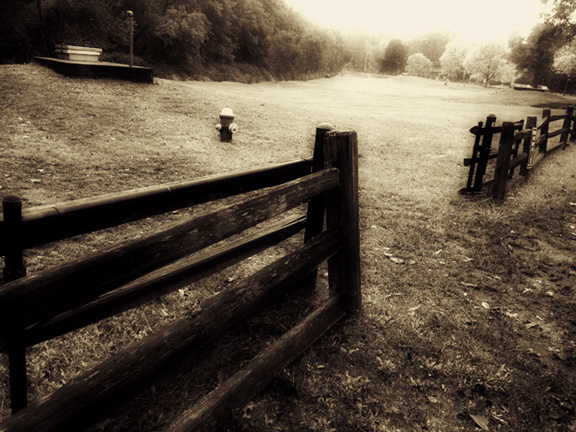 rosephonography