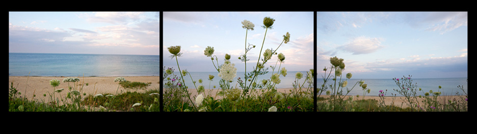 fineart photography