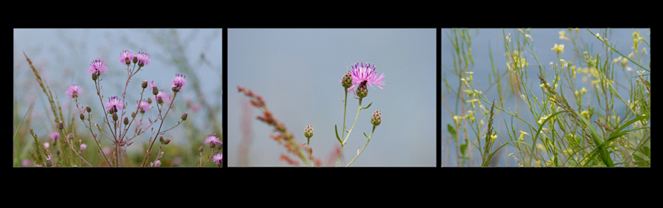 fineart photography