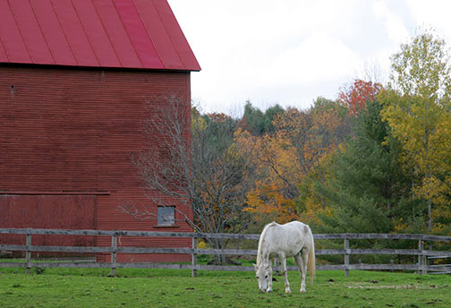 fineart photography