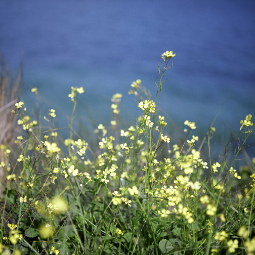 fineart photography